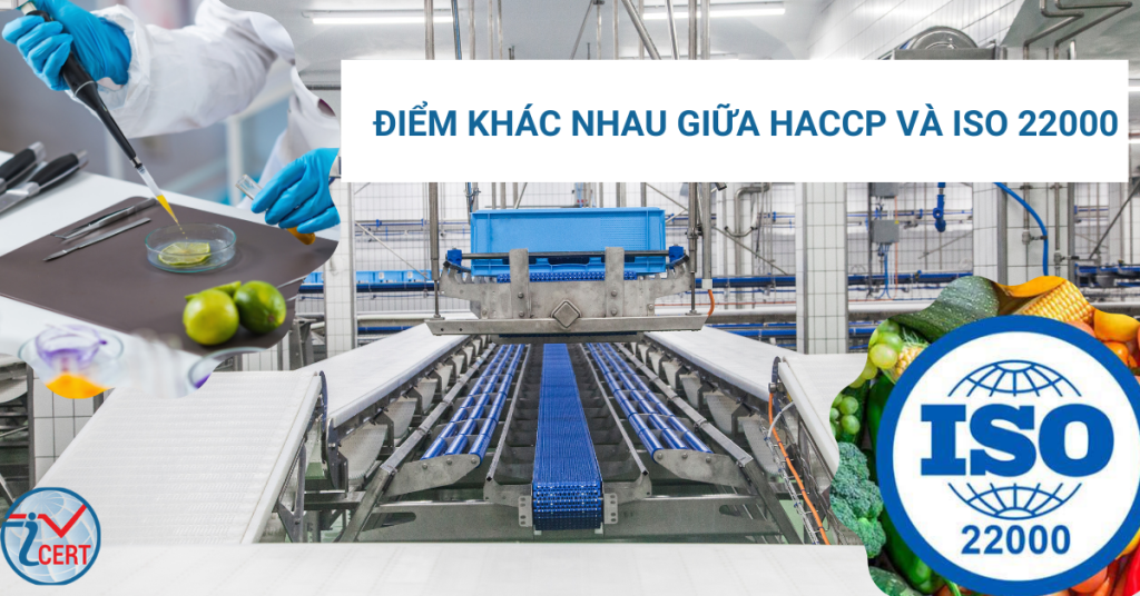 Điểm khác nhau giữa HACCP và ISO 22000