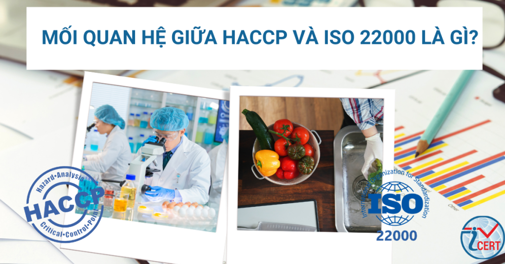 Mối quan hệ giữa HACCP và ISO 22000 là gì?
