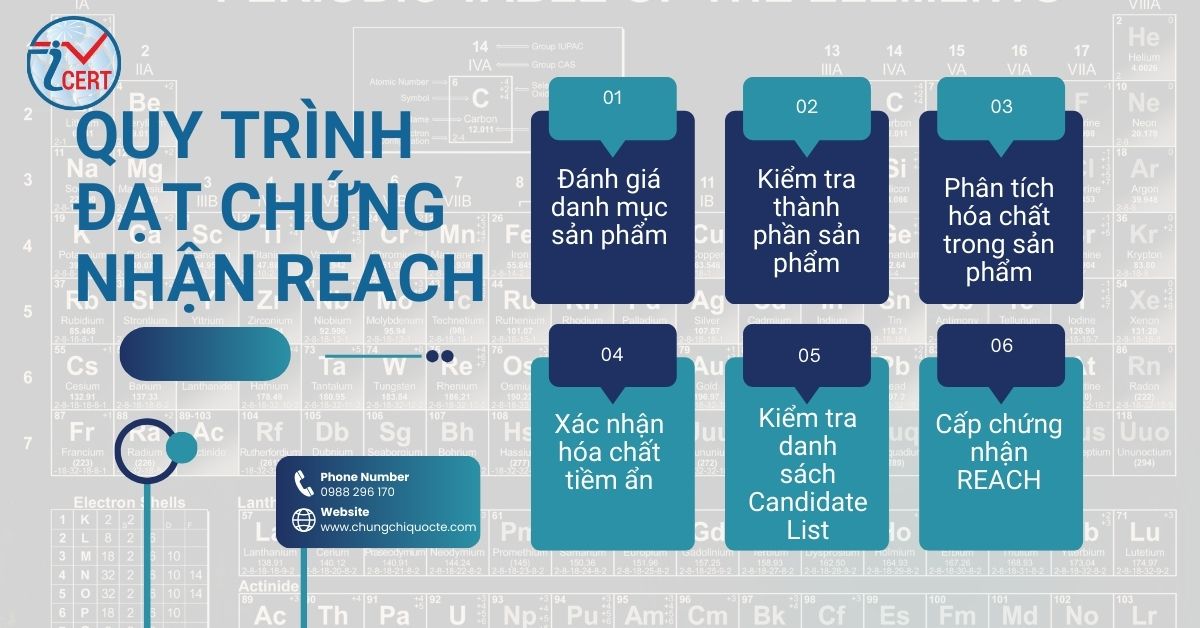 Quy trình đạt chuẩn của chứng nhận REACH