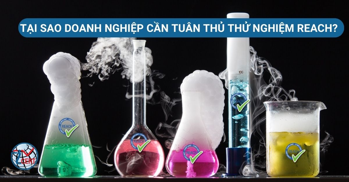 Doanh nghiệp cần tuân thủ chứng nhận REACH