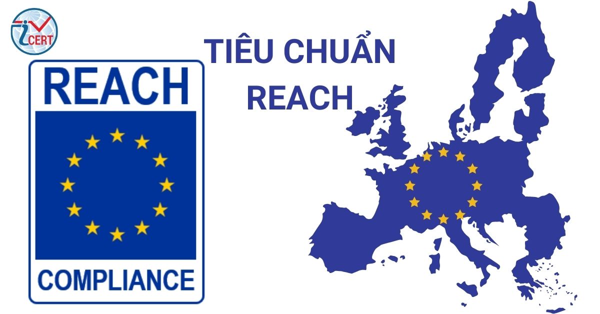 Tiêu chuẩn REACH là gì