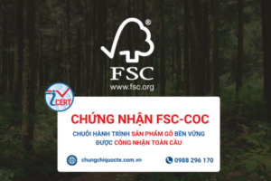Chứng nhận FSC-CoC | Chuỗi hành trình sản phẩm gỗ bền vững được công nhận toàn cầu