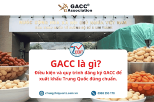 GACC là gì? Điều kiện và quy trình đăng ký GACC để xuất khẩu Trung Quốc đúng chuẩn