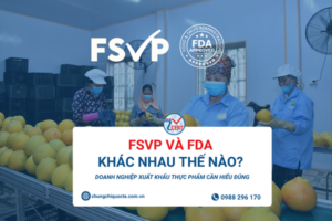 FSVP và FDA khác nhau thế nào? Doanh nghiệp xuất khẩu thực phẩm cần hiểu đúng